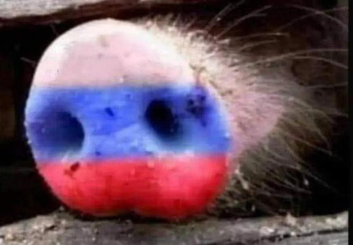 pokroch nezastavíš - kolorizované